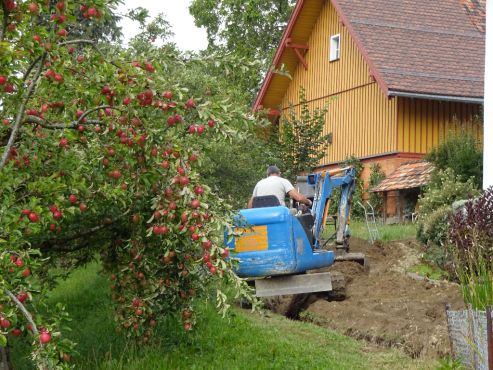 Idylle??? zwischen den Apfelbäumen